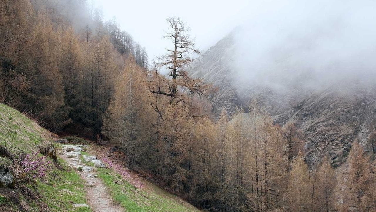 A modern office environment.