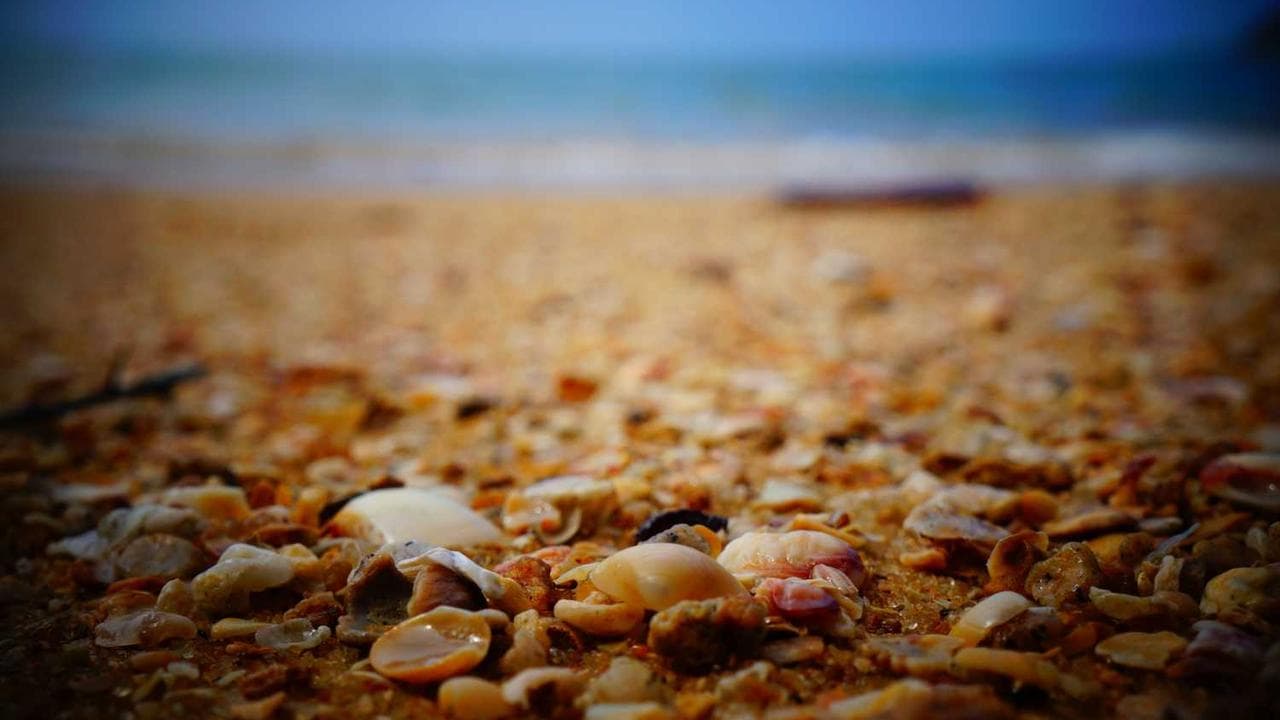 Code on a computer screen.